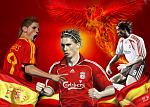 Fernando Torres 3