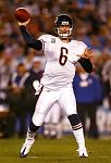 cutler bears