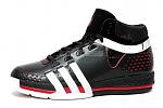 DRose Shoes