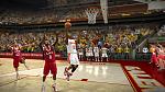 Lewis layup