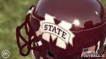 State Helmet