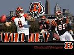 bengals