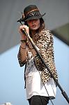 Alison Mosshart