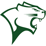 Tiger Vector