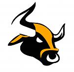 bull