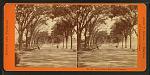 A side by side Stereoscopic...