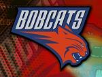 Charlotte Bobcats made...