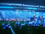 lions1