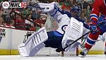 nhl 14 incidental contact...