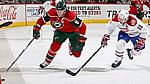 koivu brother