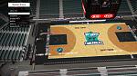 Minnesota Timberwolves Court