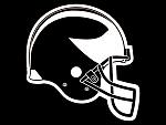 Wisconsin State Skunks