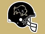 Harding Bison