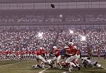 MADDEN 2010 SCREENSHOT